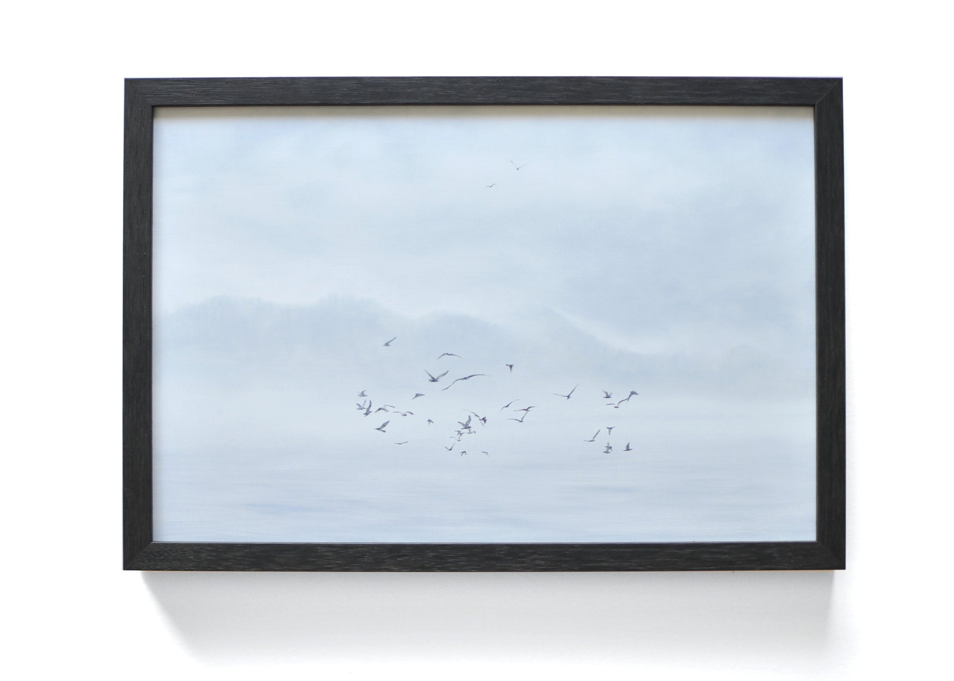 Framed oil painting of seabirds by Natasha van Netten