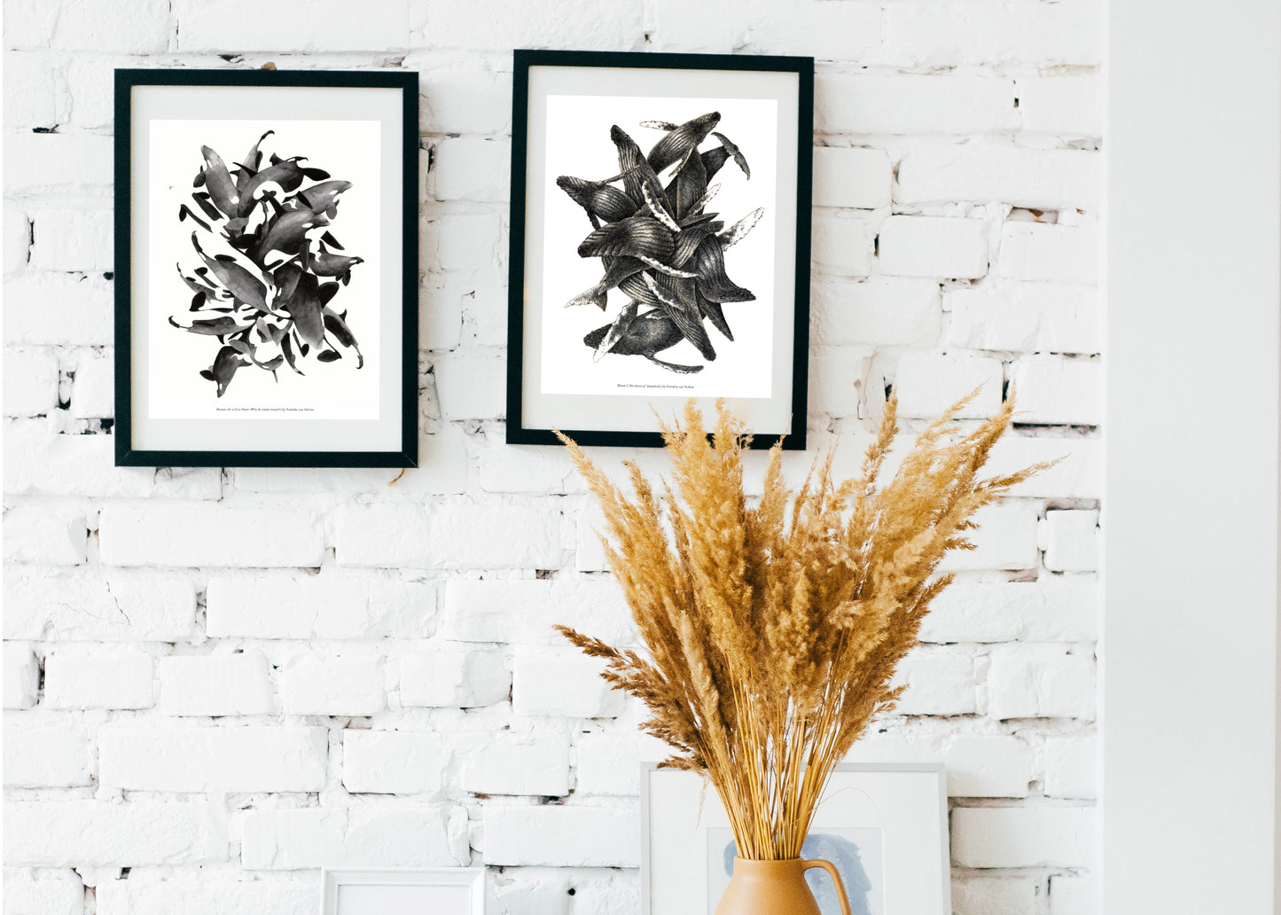 8.5"x11" Orca Breaching