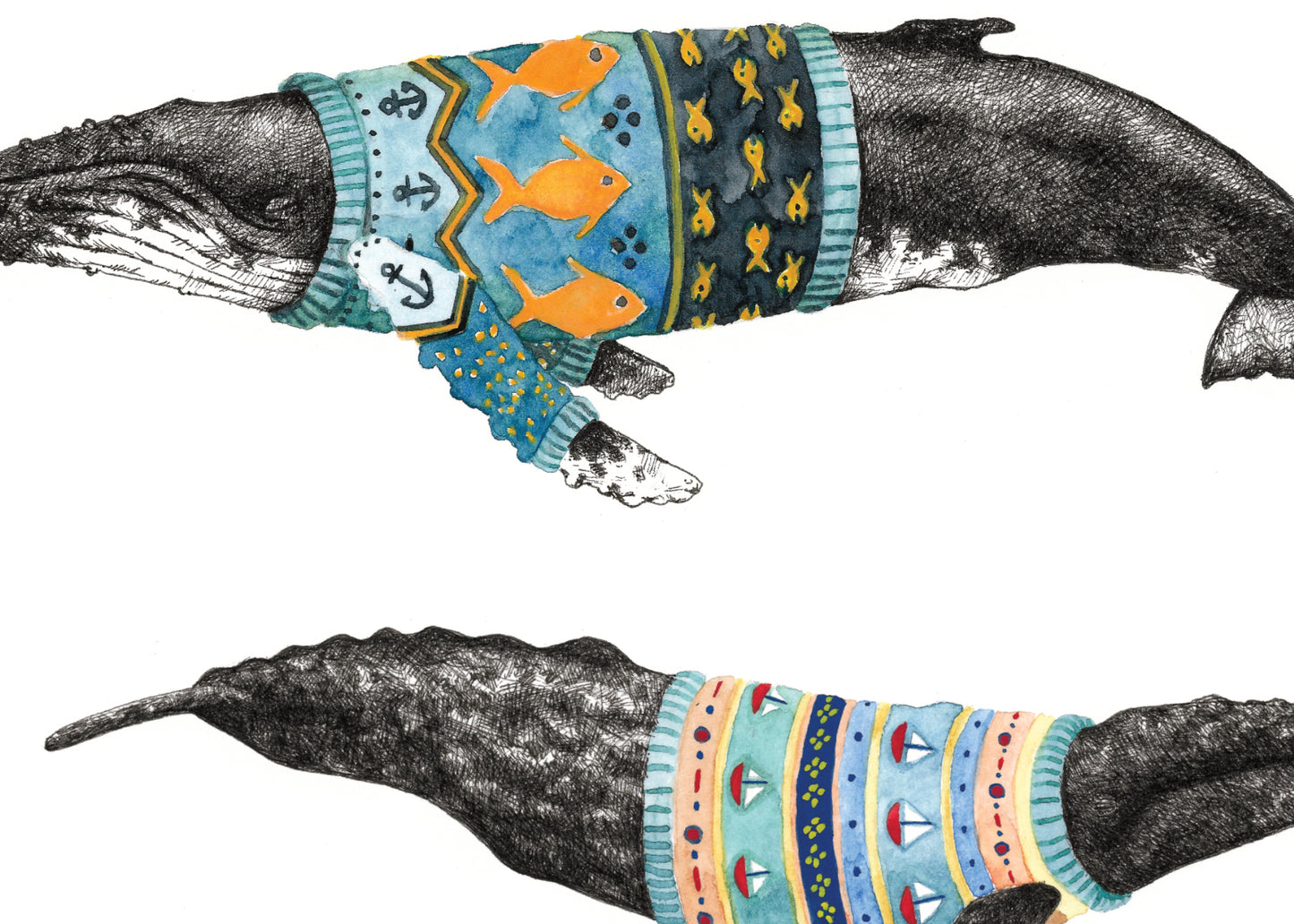 8.5"x11" Coastal Cetaceans