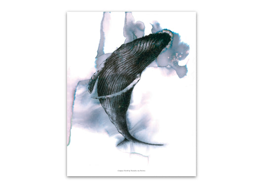 11"x14" Fluid Humpback