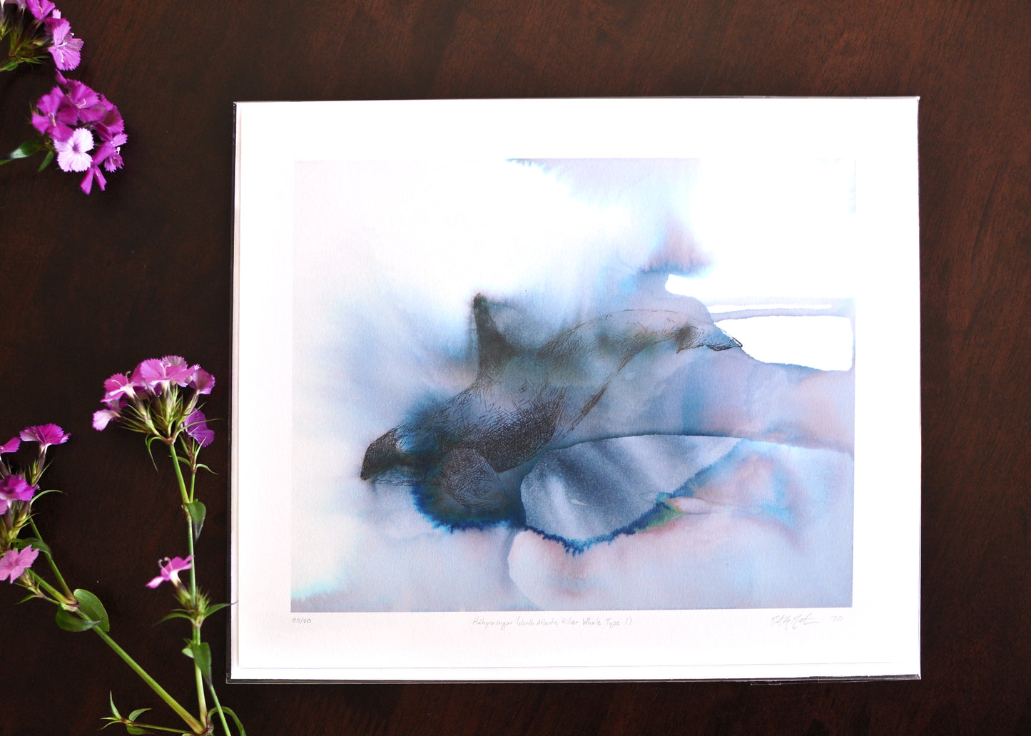 Háhyrningur (signed limited edition print)