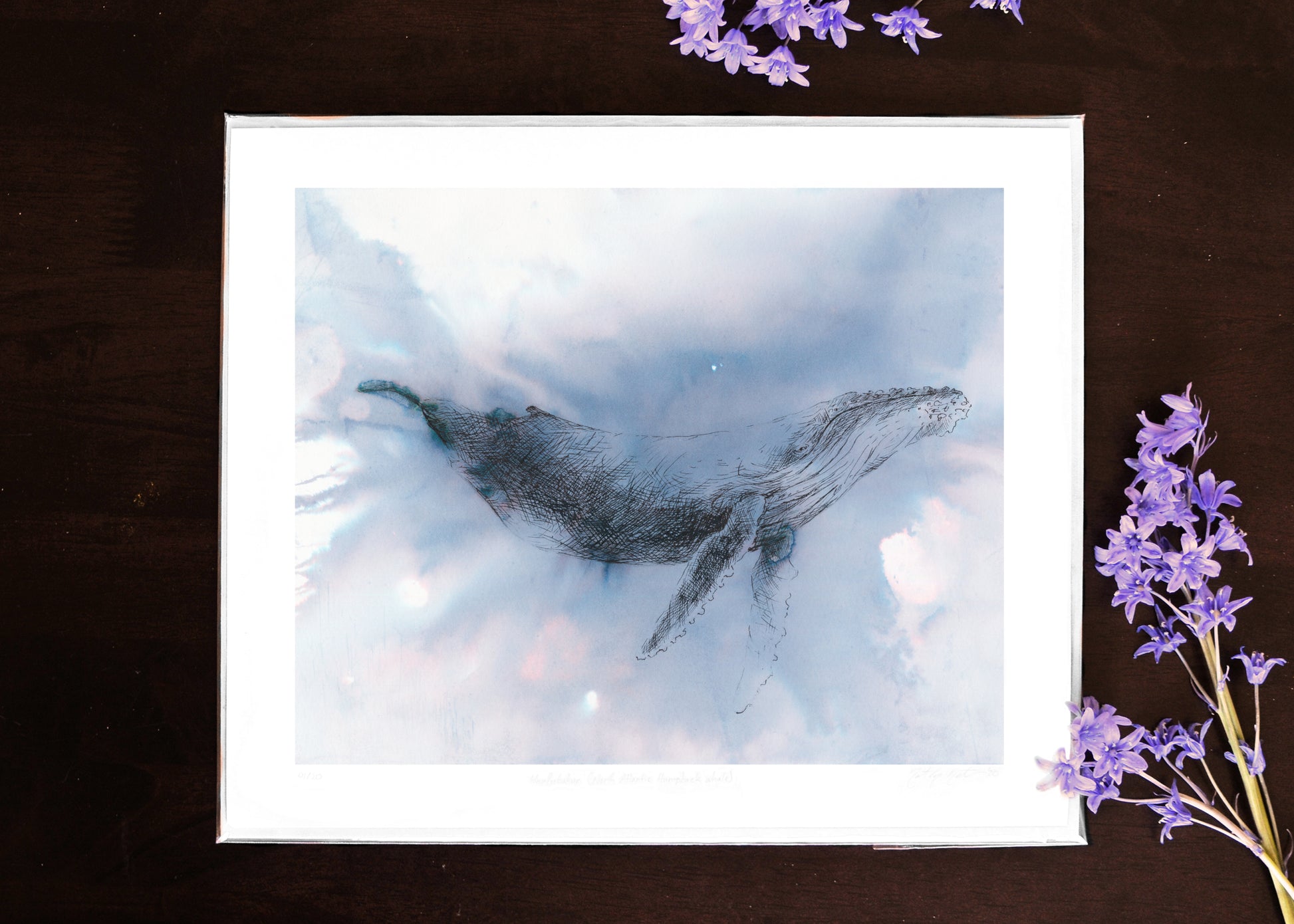 Drawing of humpback whale with ink, seawater and weather