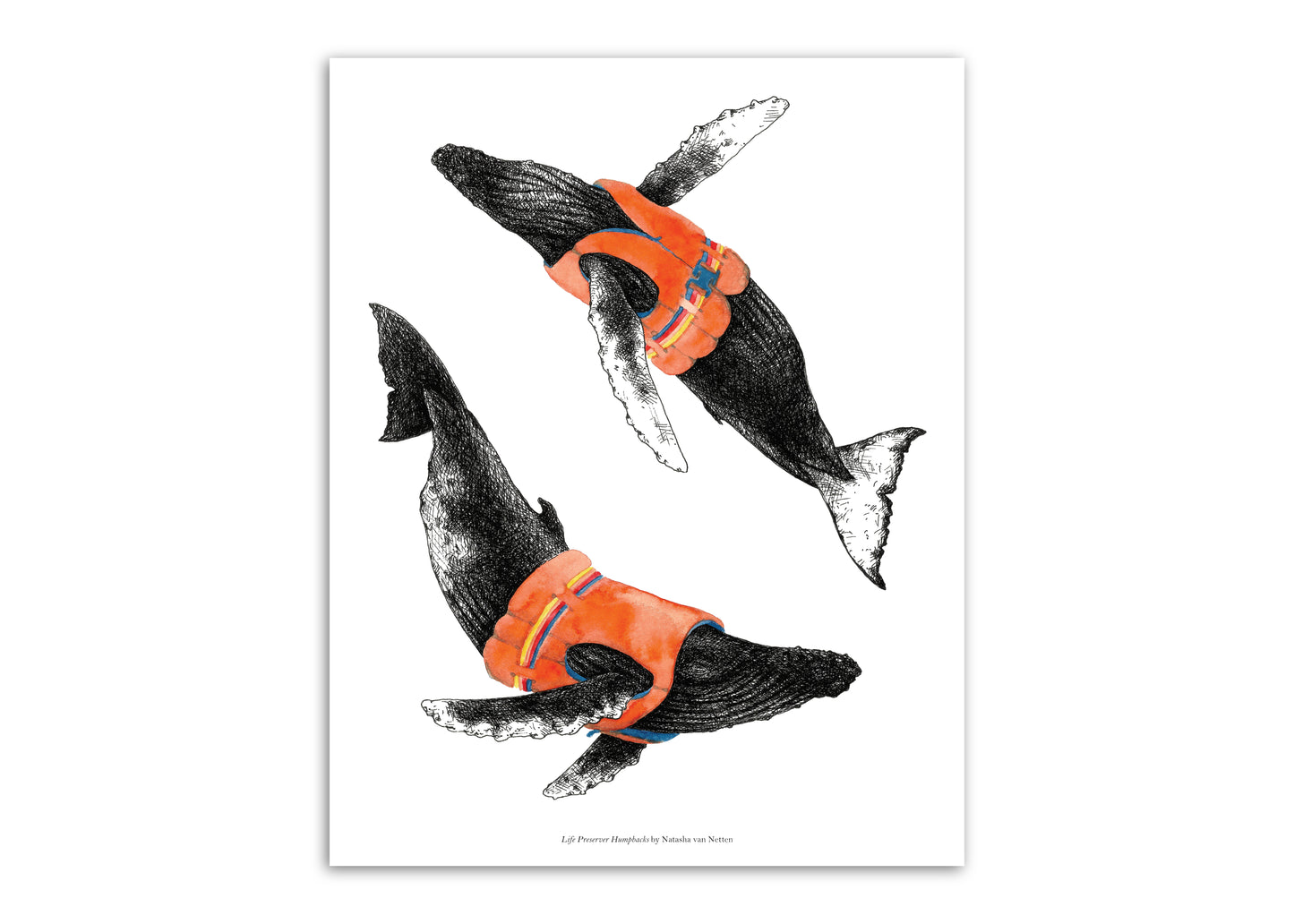 11"x14" Lifejacket Humpbacks