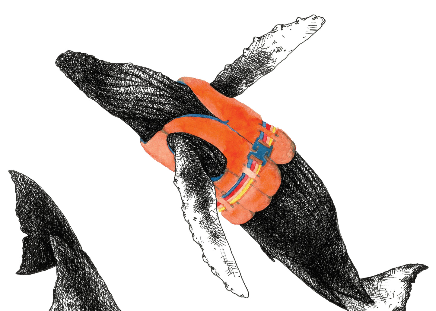 11"x14" Lifejacket Humpbacks