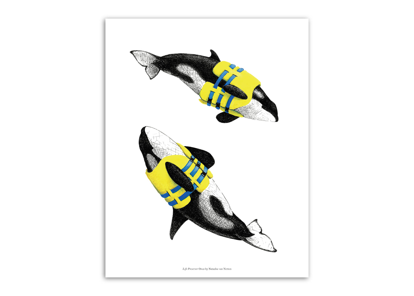 11"x14" Lifejacket Orcas