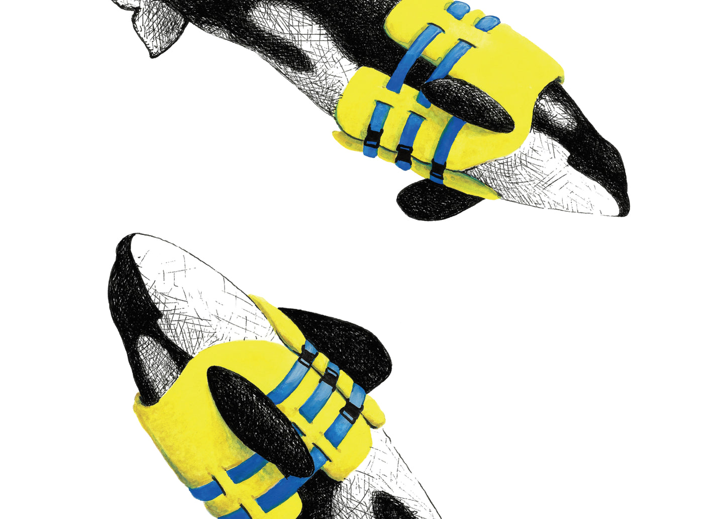 11"x14" Lifejacket Orcas