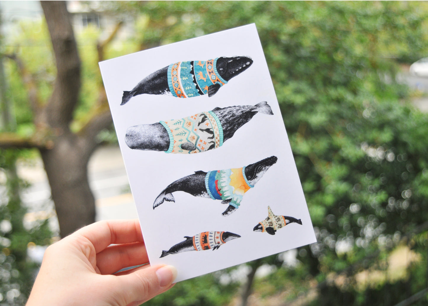 Mountain Whales Sweater Weather Greeting Card