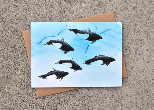Dall's Porpoise Greeting Card - Ocean Series