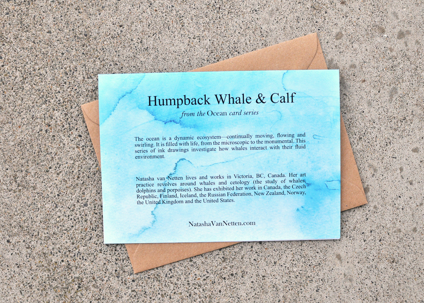 Humpback Whale Greeting Card - Ocean Series