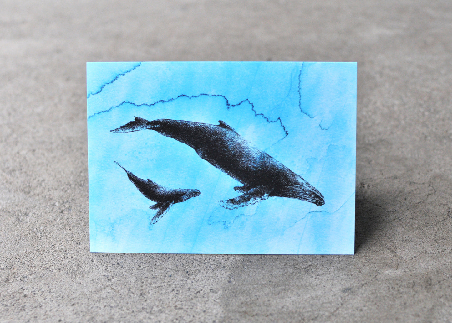 Humpback Whale Greeting Card - Ocean Series