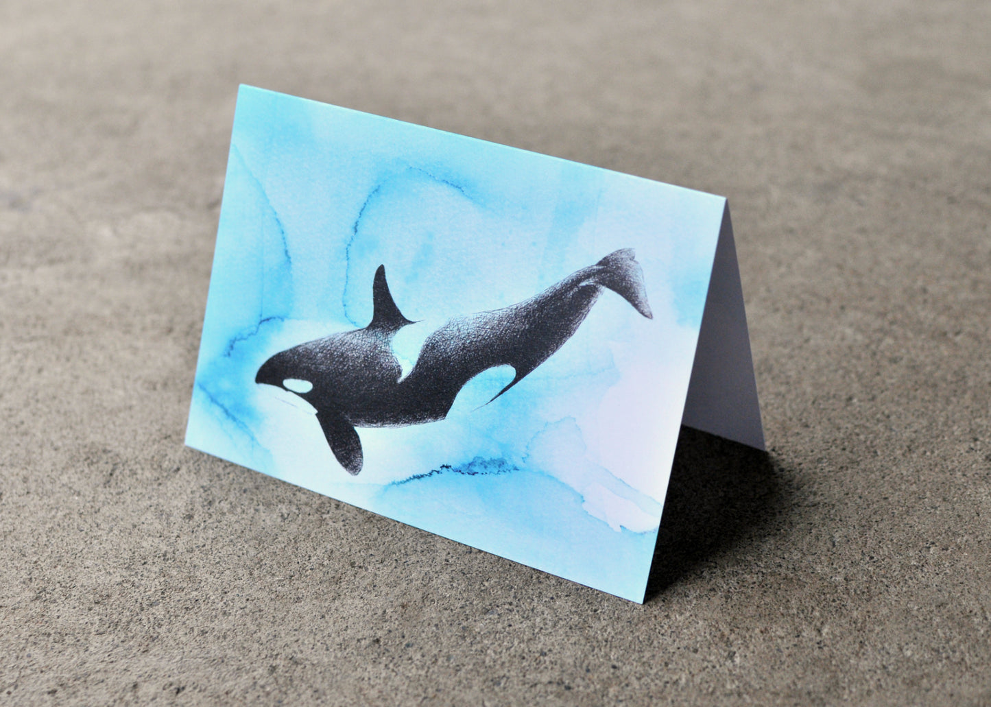 Orca Greeting Card - Ocean Series