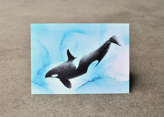 Orca Greeting Card - Ocean Series
