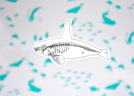 Orca X-Ray Sticker