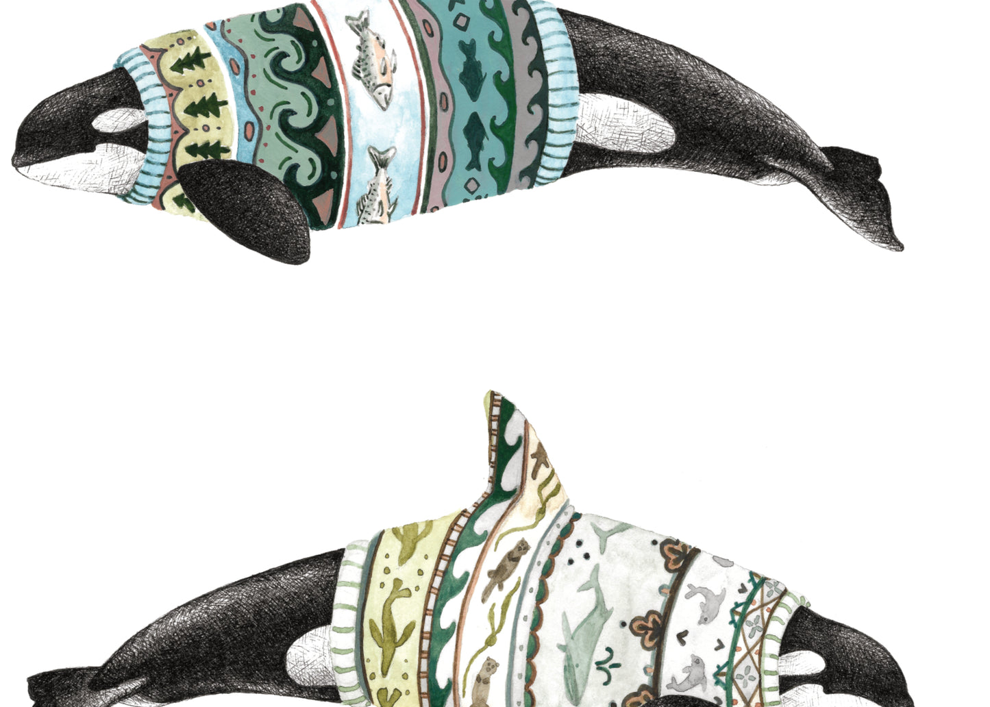 8.5"x11" Orca Ecotypes (Female)