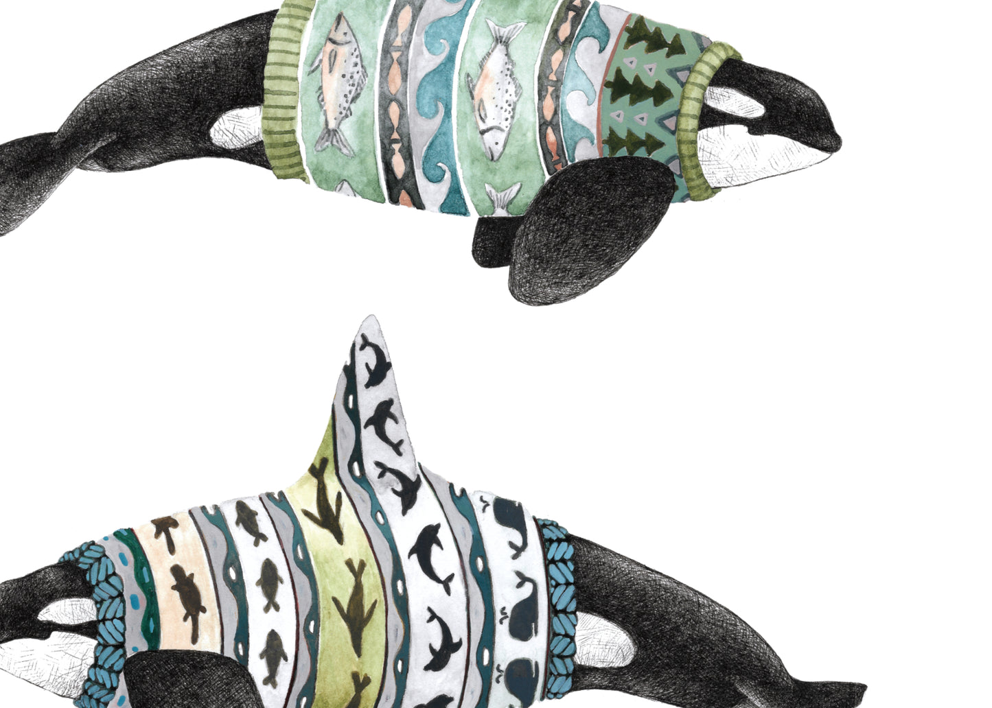 8.5"x11" Orca Ecotypes (Male)