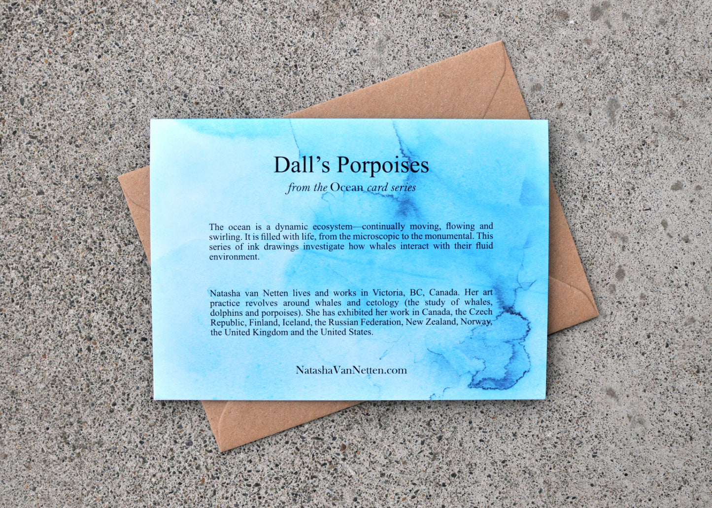Dall's Porpoise Greeting Card - Ocean Series