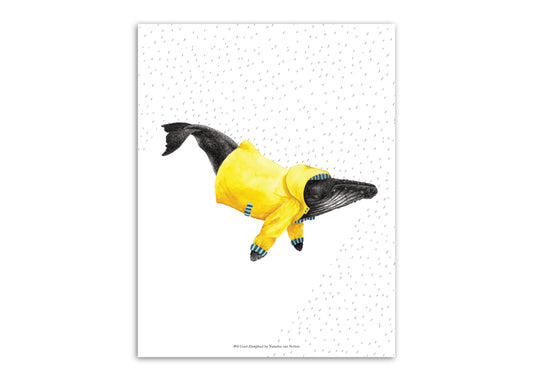 8.5"x11" Humpback Rain Jacket Wet Coast