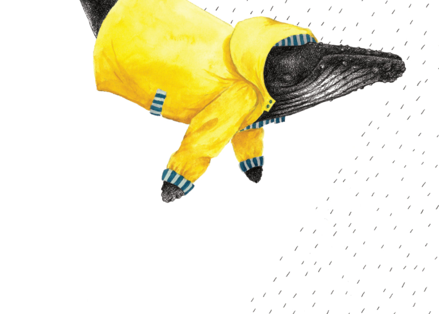 8.5"x11" Humpback Rain Jacket Wet Coast