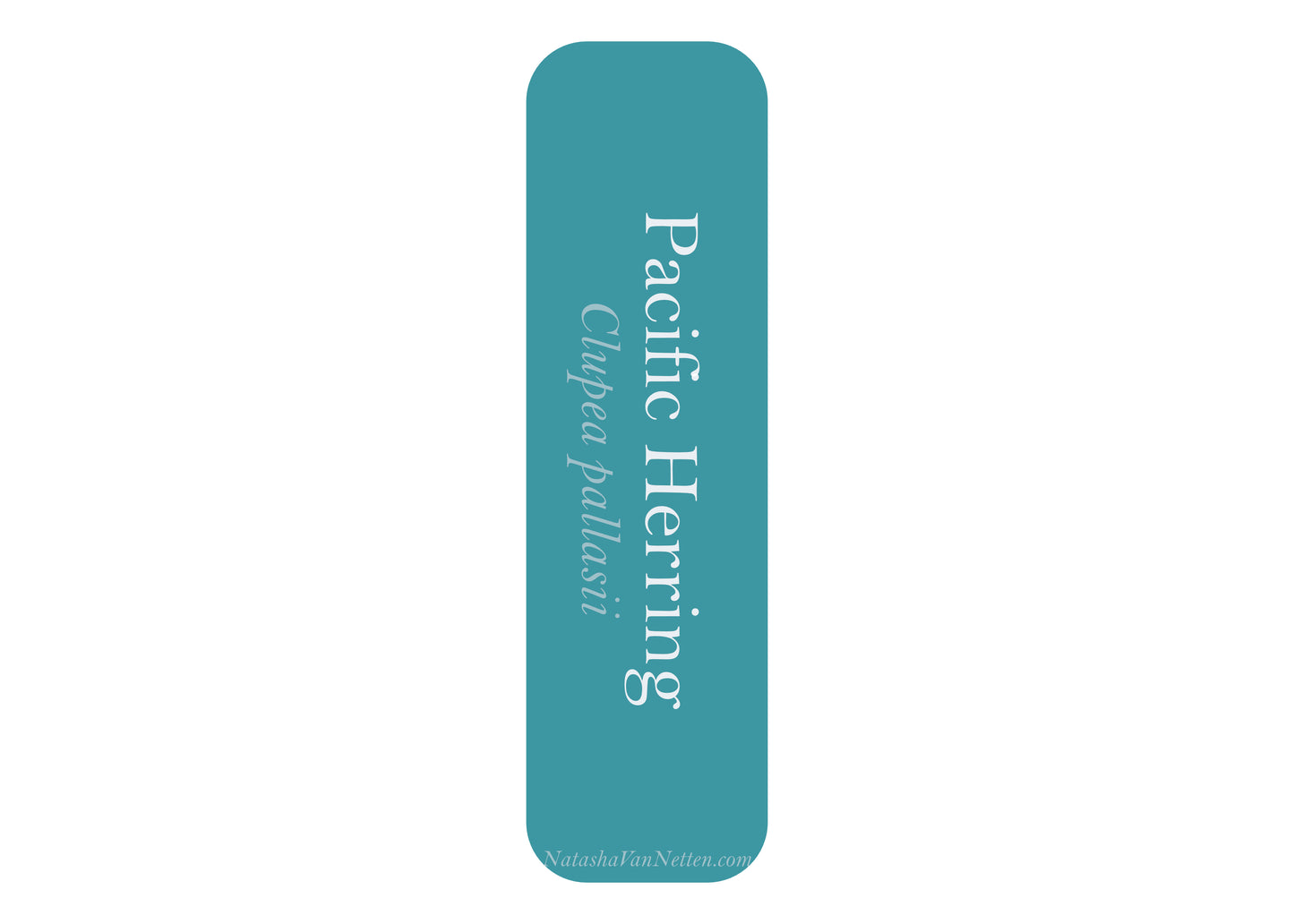 Ocean Bookmark - Herring