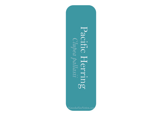 Ocean Bookmark - Herring