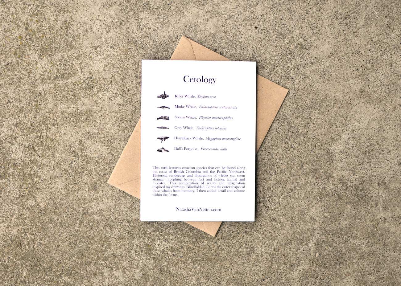 Text on the back of the card.