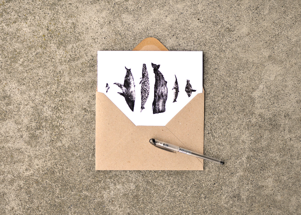 Ink drawings of six whale species found on the west coast of North America. Card is partway in an envelope and next to a pen.