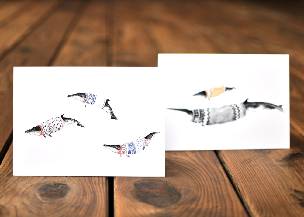 Cocoon Whale Greeting Card Set