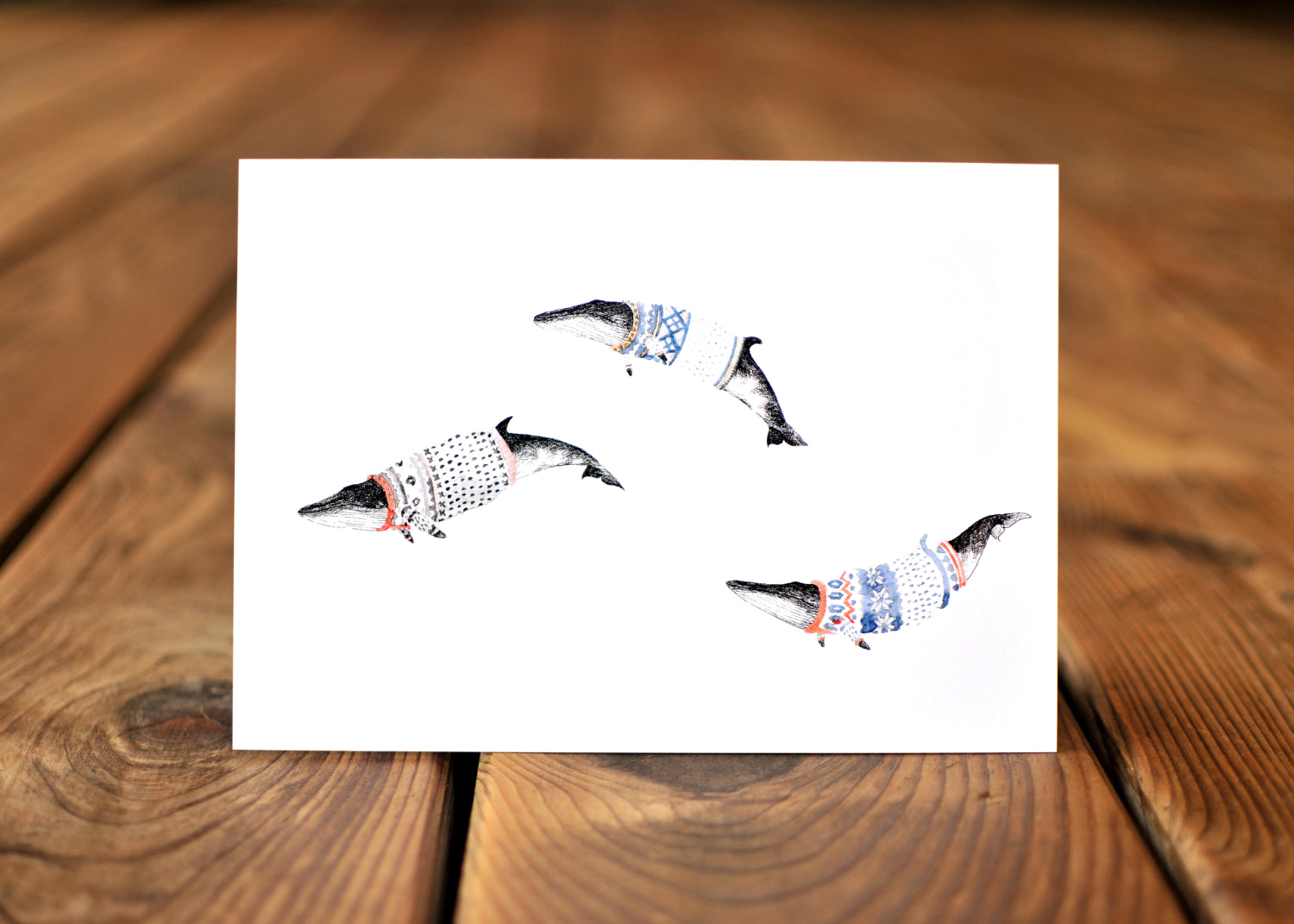 Greeting card with three minke whales wearing Norwegian ski sweaters, called lusekoftes
