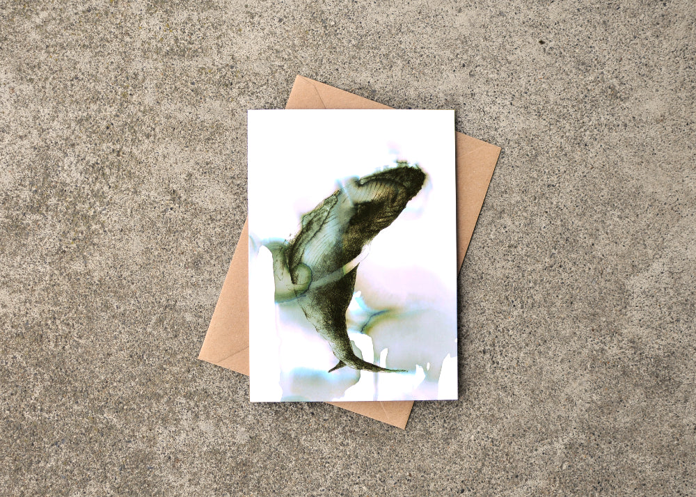 Ink and seawater drawing of a humpback whale. Card on on top of an envelope.