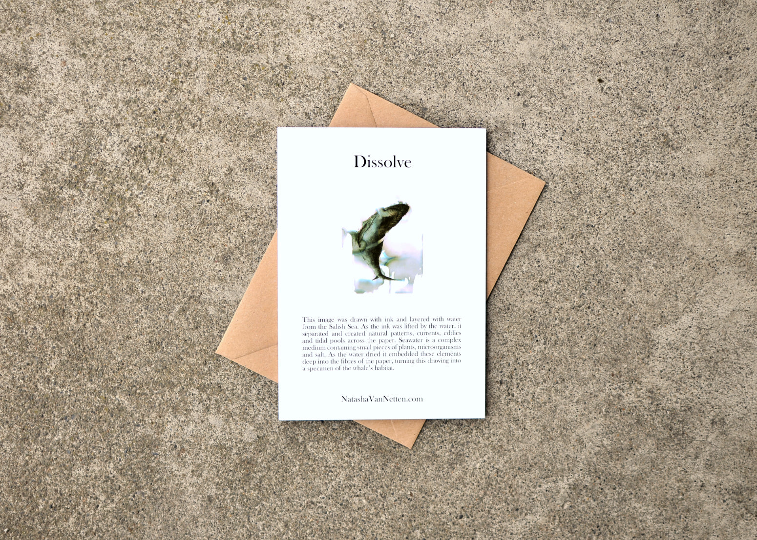 Photo of the back of the card.