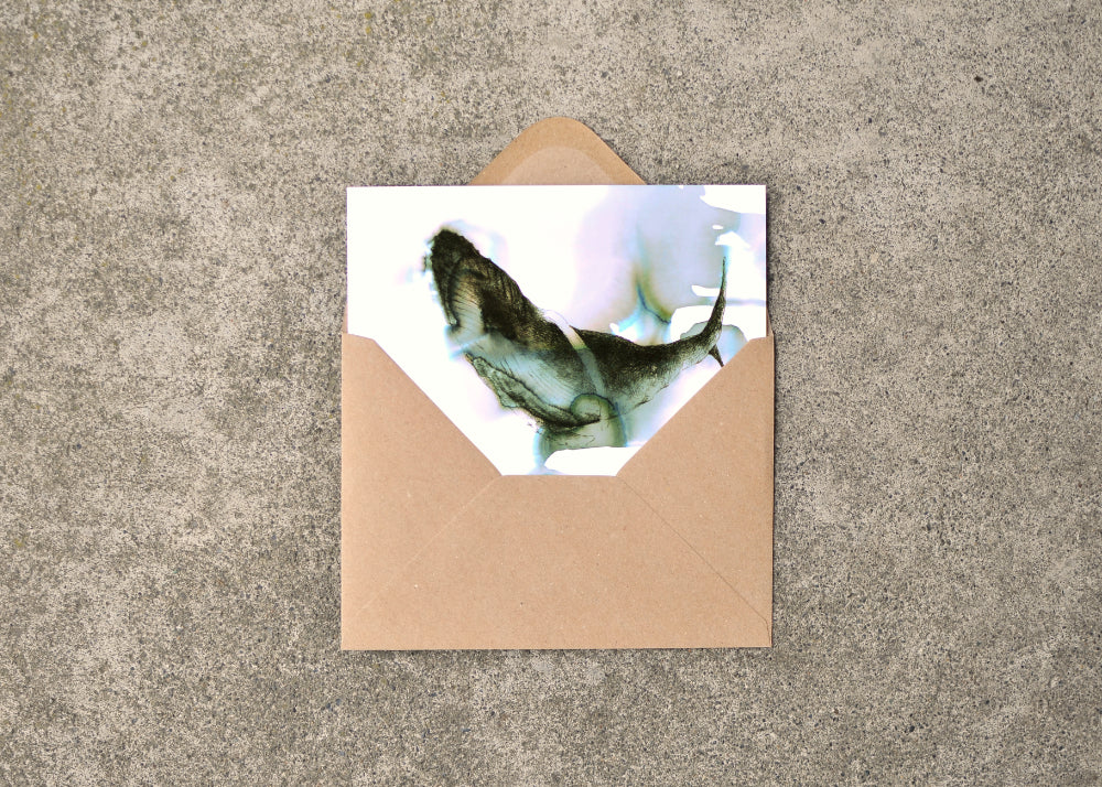 Ink and seawater drawing of a humpback whale. Card is partway in an envelope.