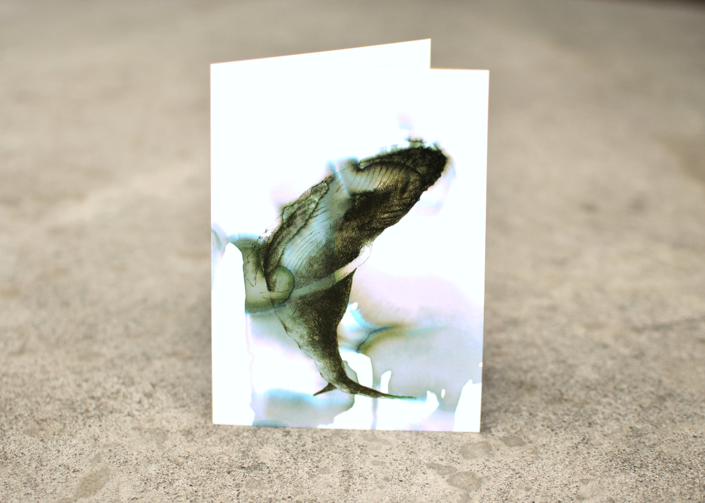 Ink and seawater drawing of a humpback whale.