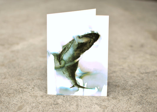 Ink and seawater drawing of a humpback whale.