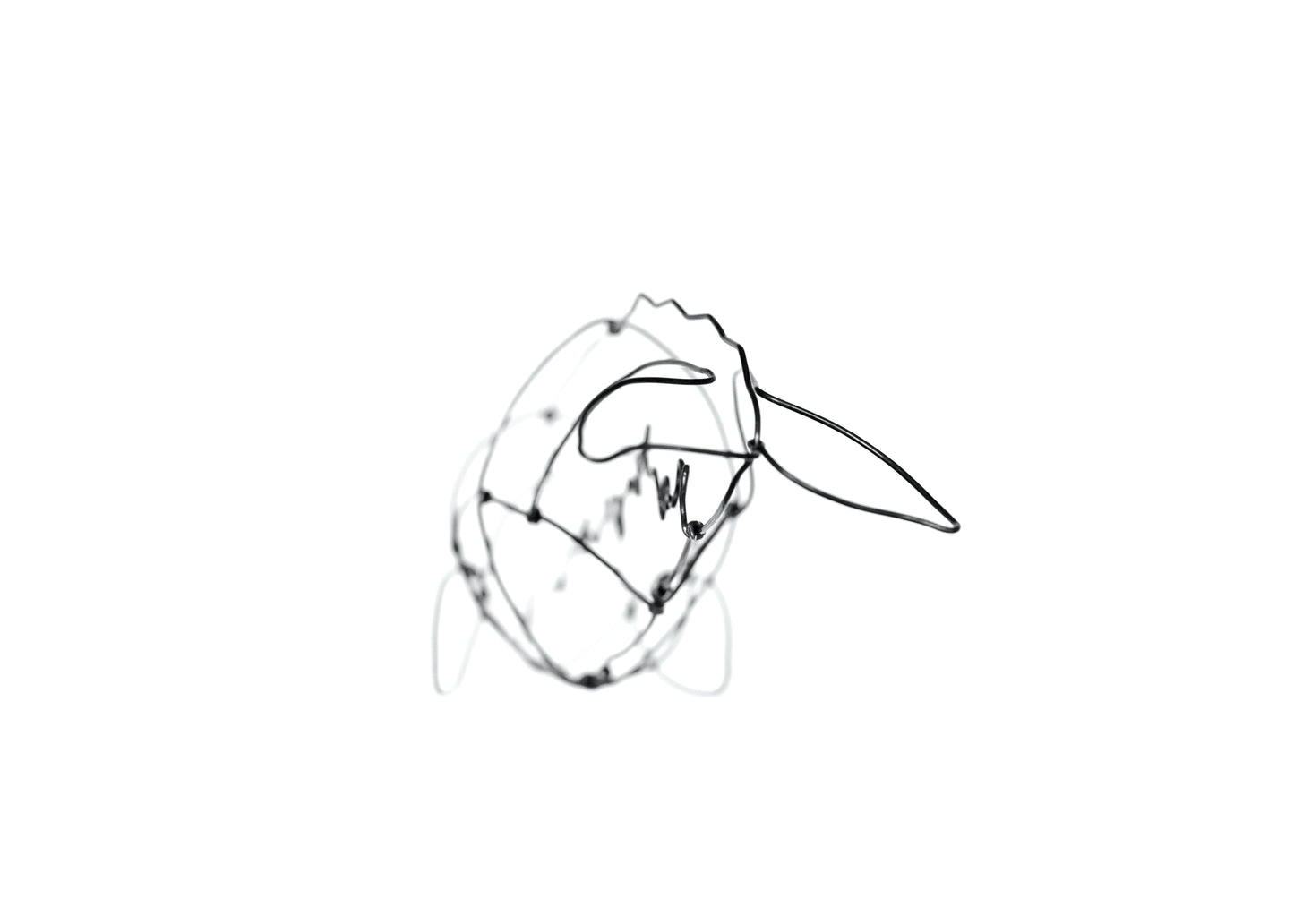 Photo of a 3D wire grey whale sculpture.