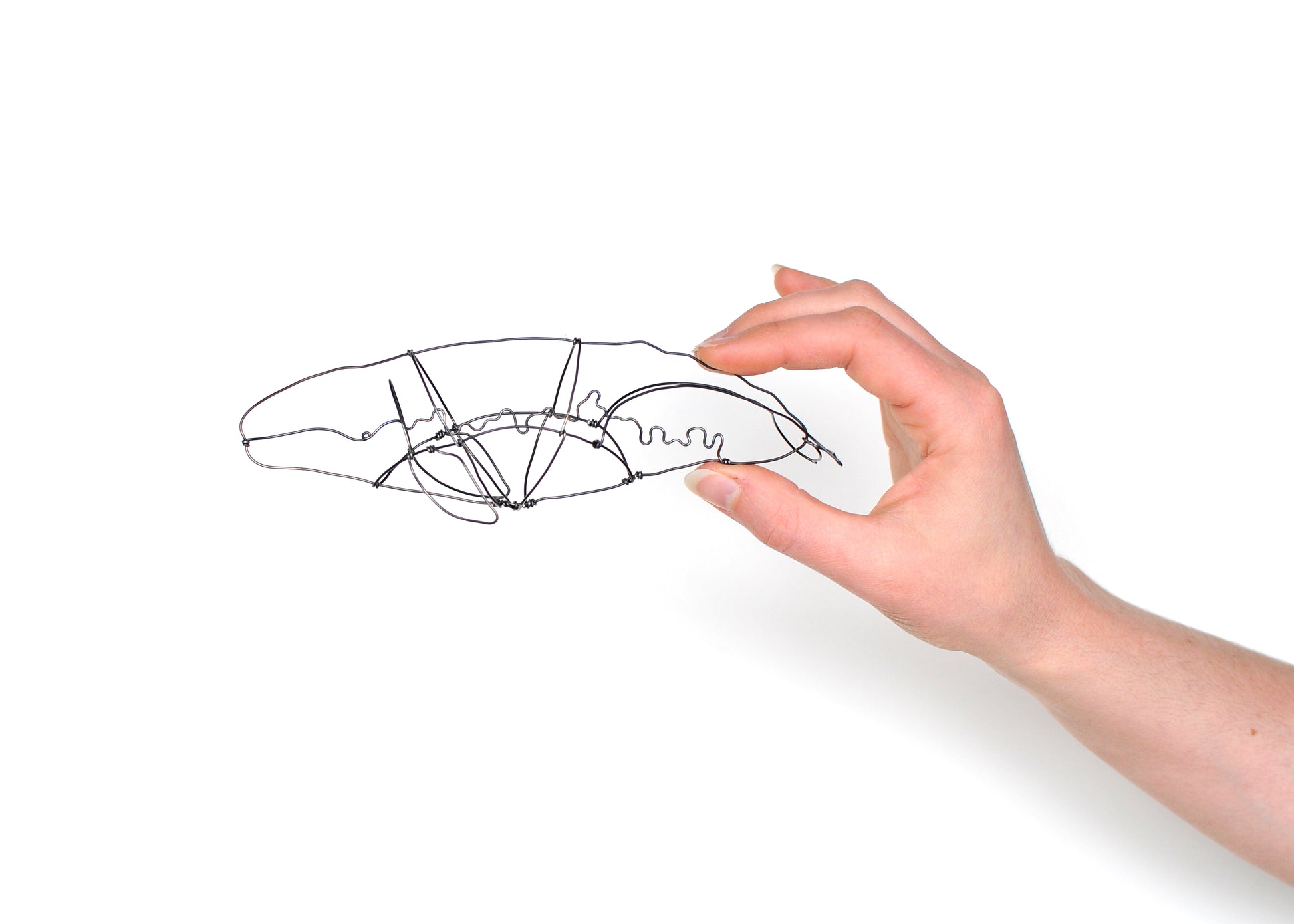Photo of a wire humpback whale sculpture, held in a hand.