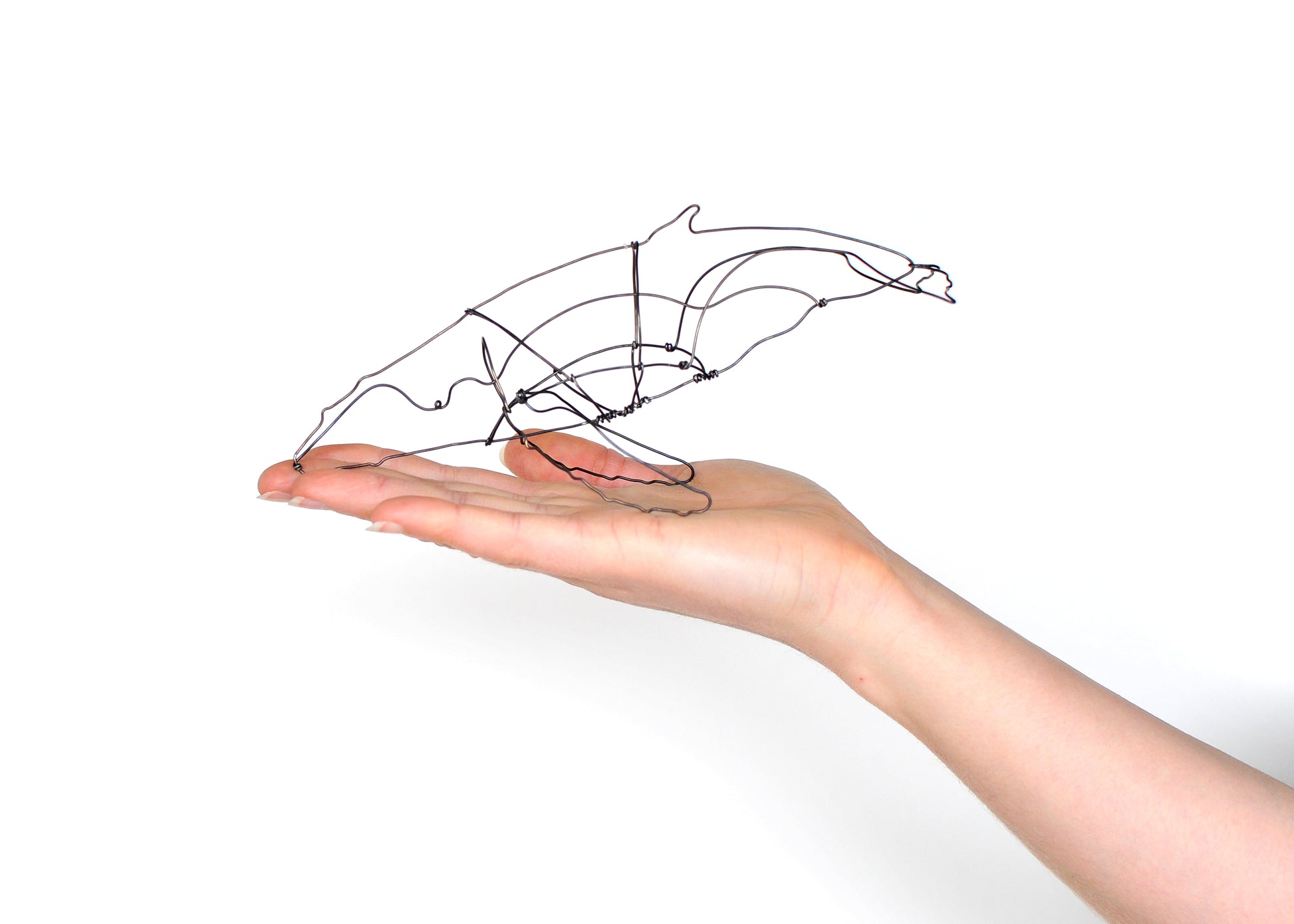 Photo of a 3D wire humpback whale sculpture held in hand.