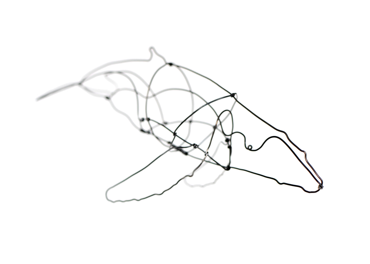 Photo of a 3D wire humpback whale sculpture.