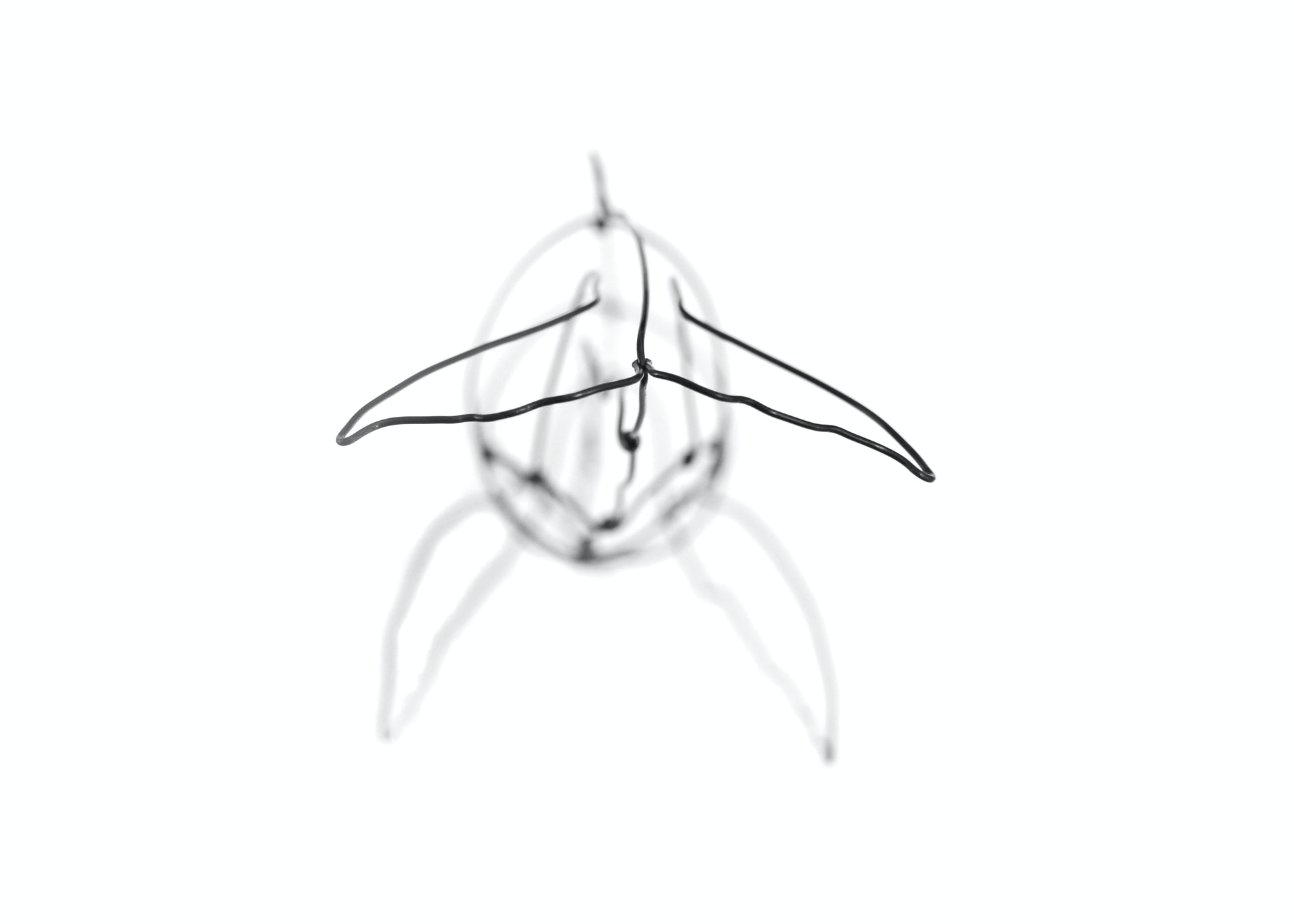 Photo of a 3D wire humpback whale sculpture.