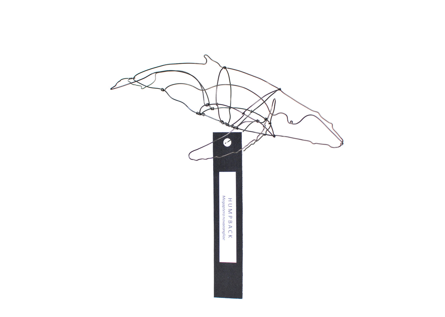 Photo of a 3D wire humpback whale sculpture.  Info tag hanging from bottom.