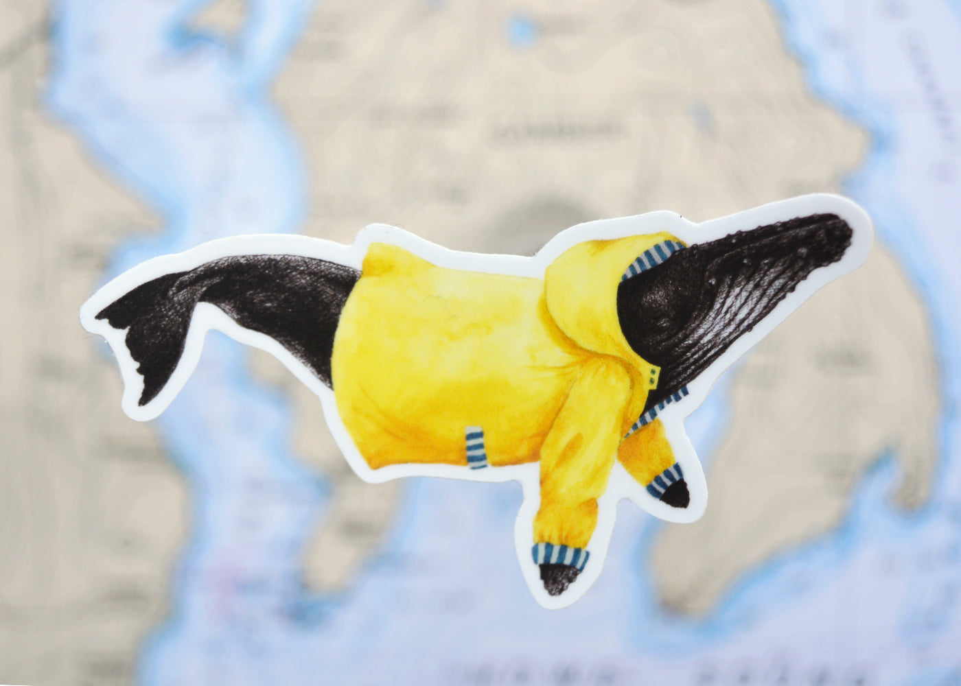 Wet Coast Humpback Whale Sticker