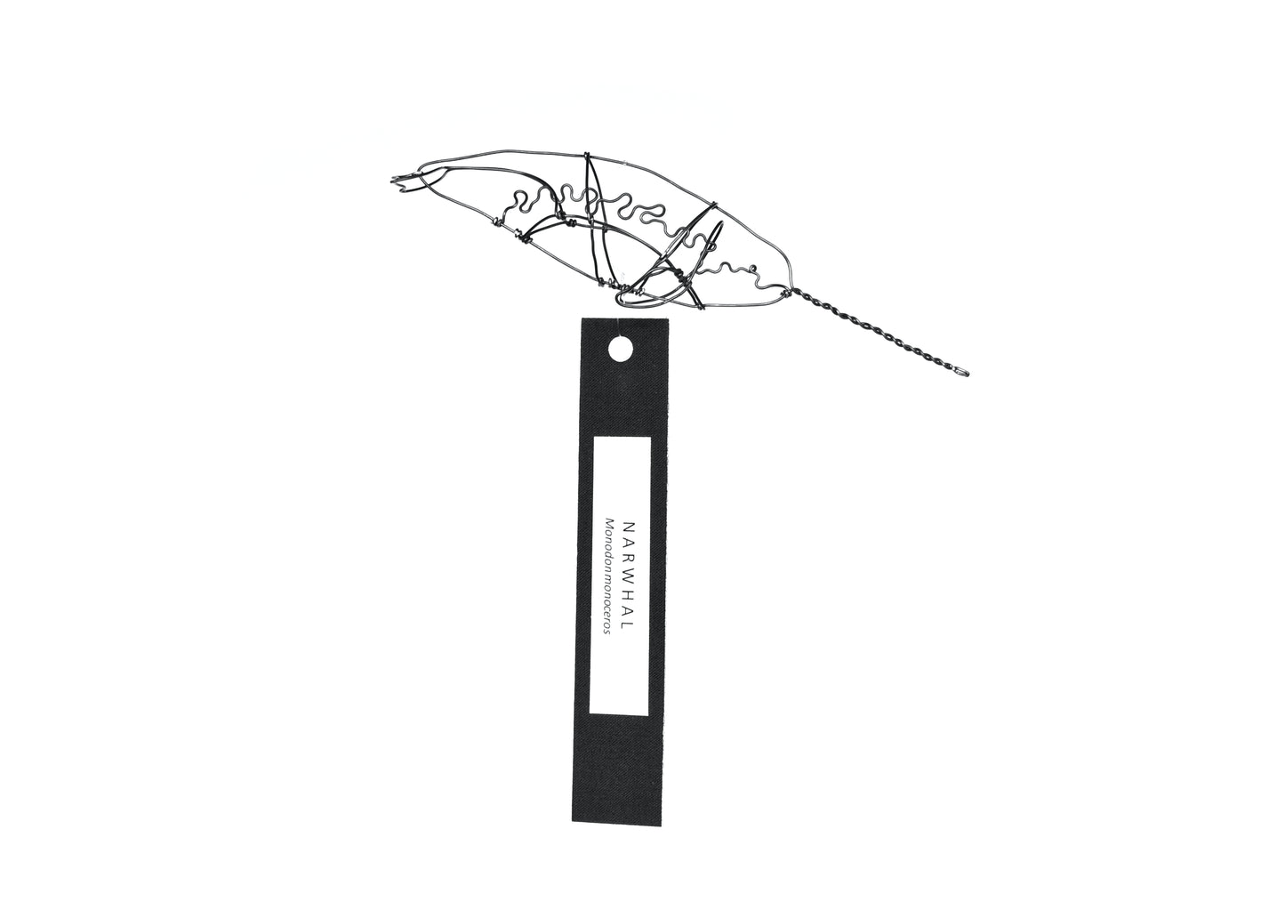 Photo of a 3D wire narwhal whale sculpture. Info tag hanging from bottom.