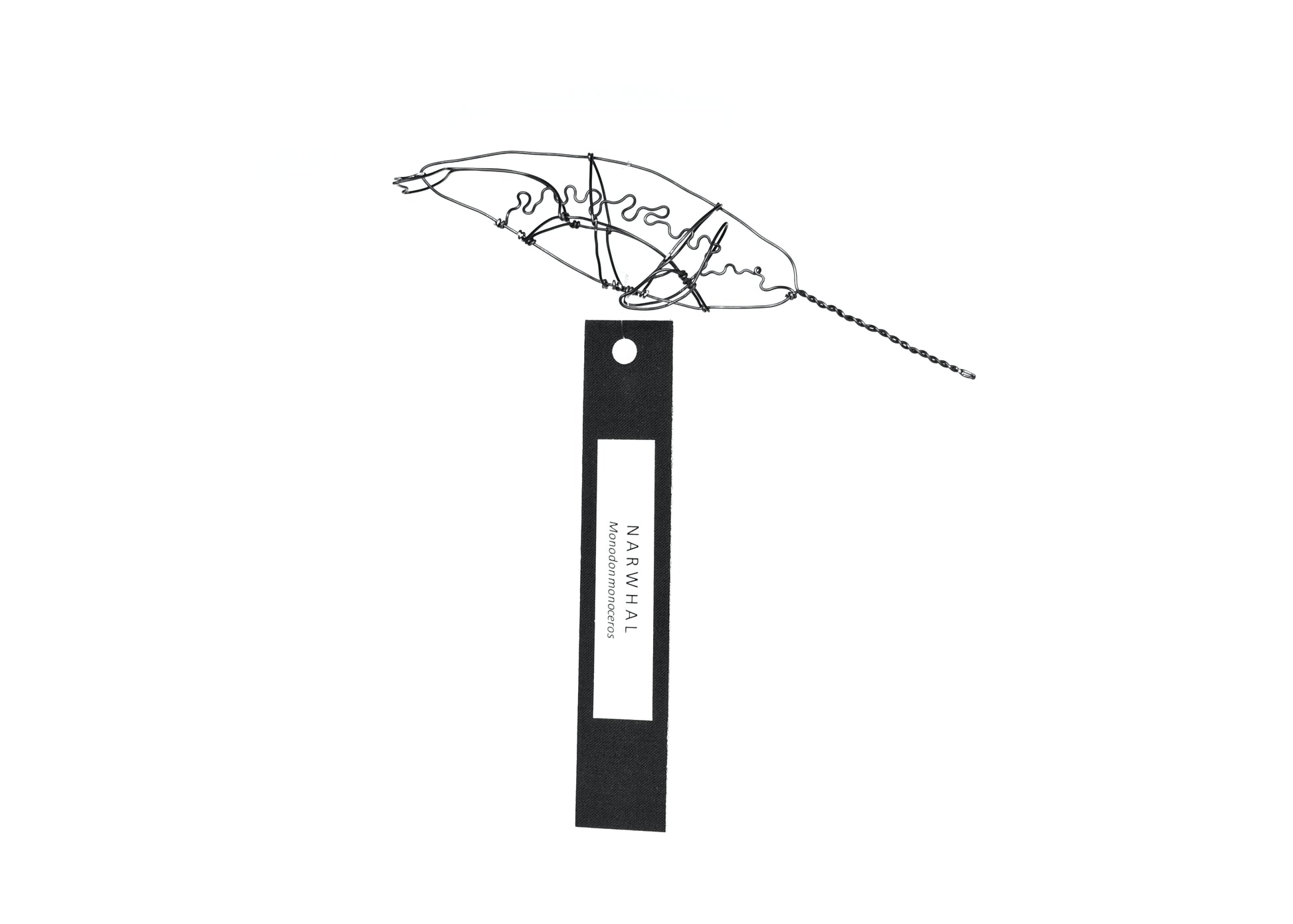 Photo of a 3D wire narwhal whale sculpture. Info tag hanging from bottom.