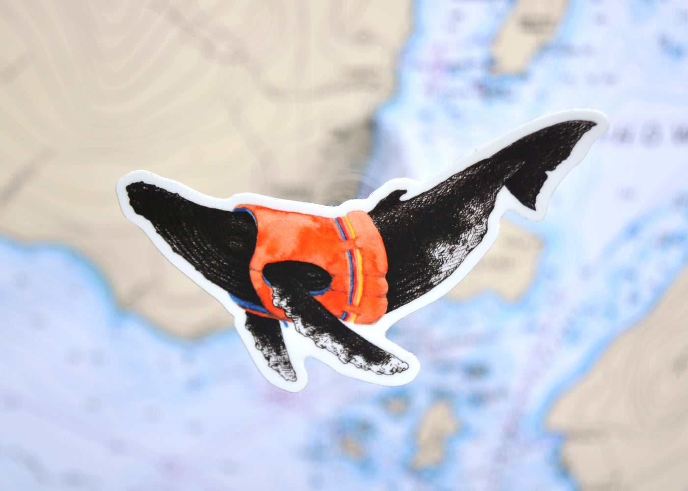 Life Preserver Humpback Whale Sticker