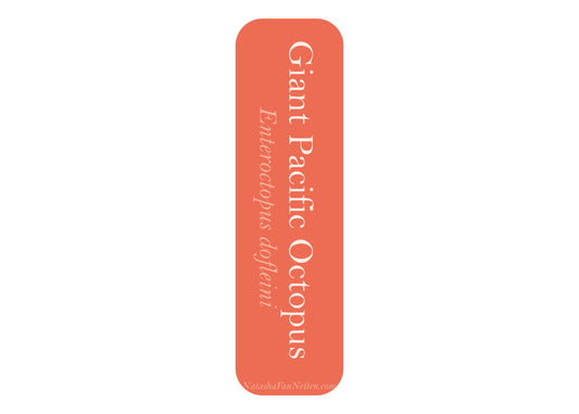 Ocean Bookmark - Octopus