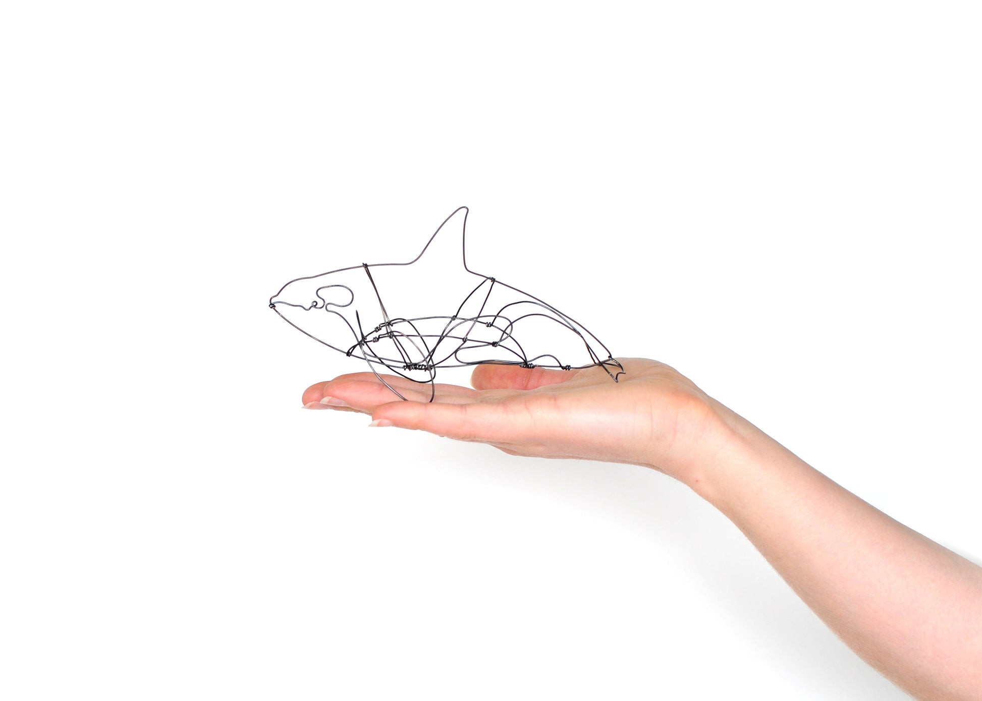Photo of a 3D wire orca whale sculpture held in a hand.