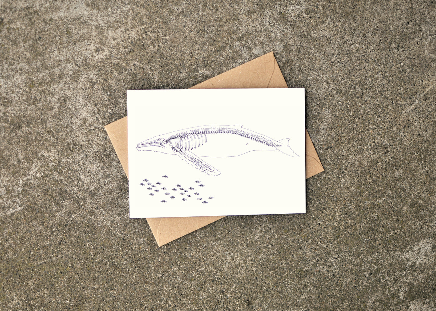 X-Ray Humpback Whale & Herring Greeting Card