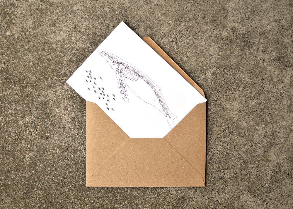 X-Ray Humpback Whale & Herring Greeting Card