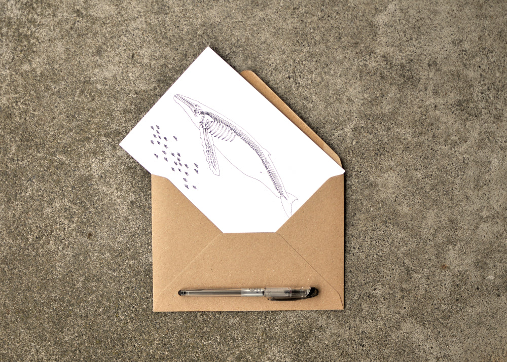 X-Ray Humpback Whale & Herring Greeting Card