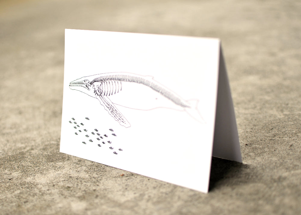 X-Ray Humpback Whale & Herring Greeting Card