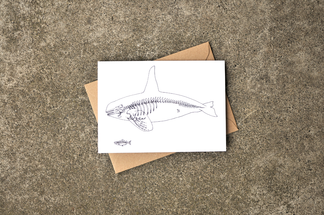 X-Ray Orca & Chinook Greeting Card
